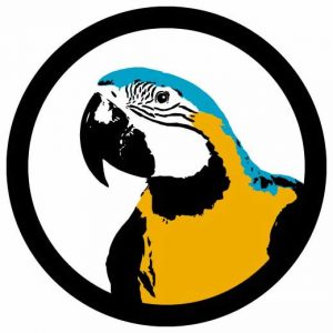 Gobo aus Glas - 2 Farben